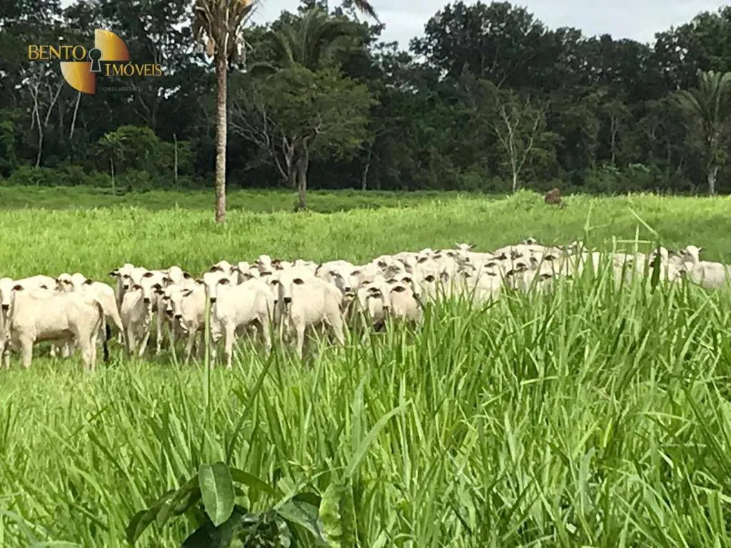 Fazenda à venda de 1.455 ha em Acorizal, MT, Brasil