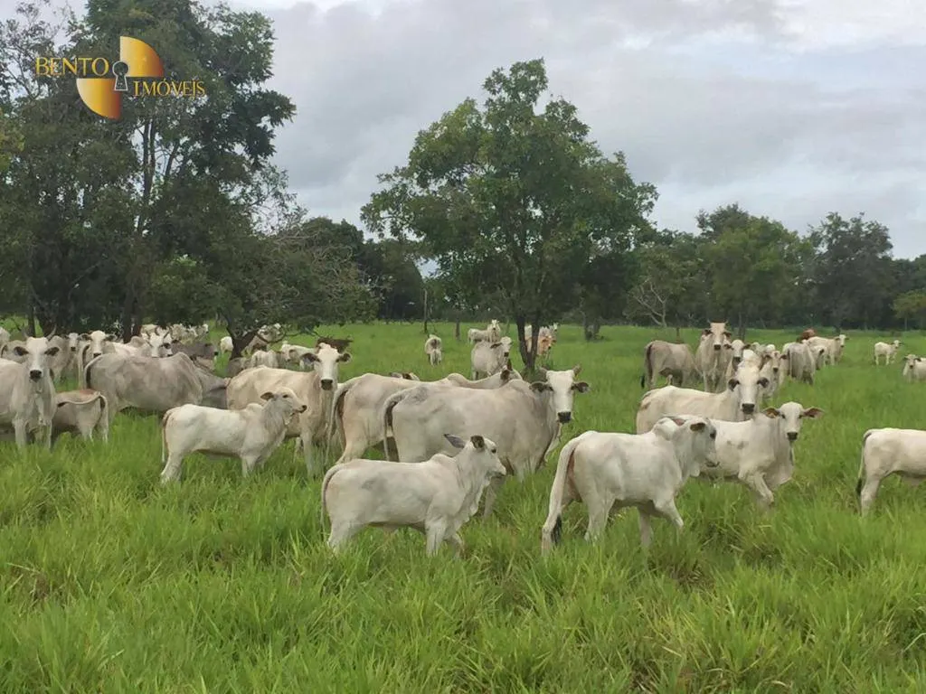 Fazenda à venda de 1.455 ha em Acorizal, MT, Brasil