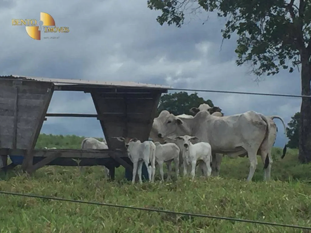 Fazenda à venda de 1.455 ha em Acorizal, MT, Brasil