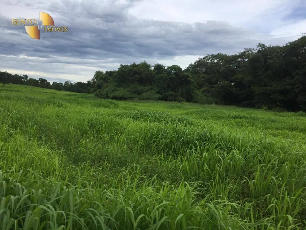 Fazenda à venda de 1.455 ha em Acorizal, MT, Brasil