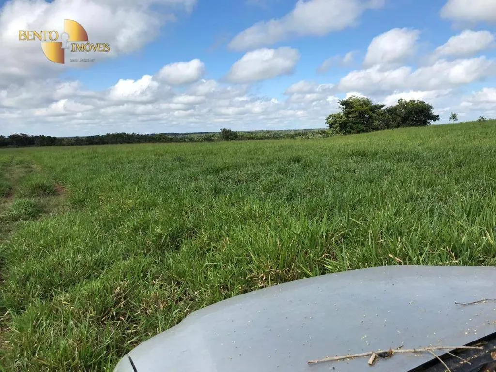 Fazenda à venda de 1.455 ha em Acorizal, MT, Brasil