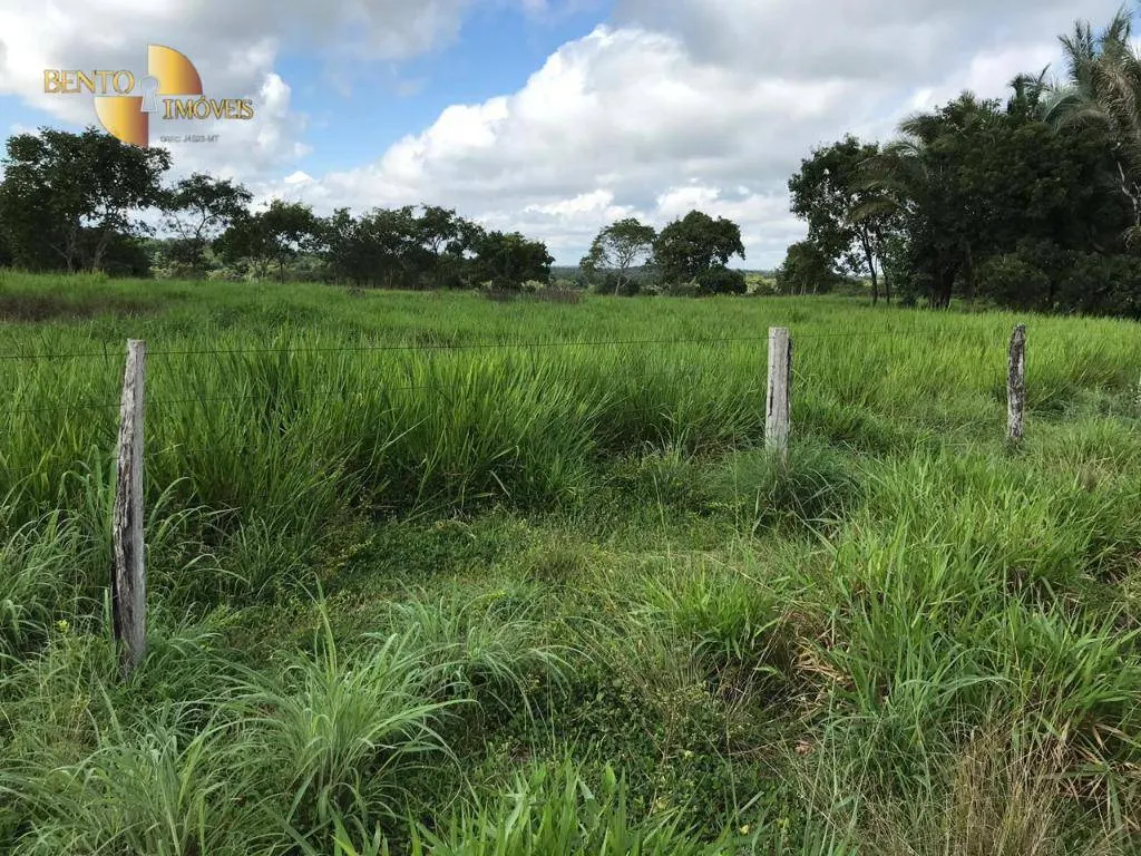 Fazenda à venda de 1.455 ha em Acorizal, MT, Brasil