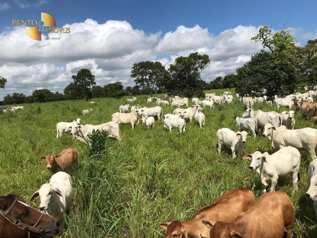Fazenda à venda de 1.455 ha em Acorizal, MT, Brasil