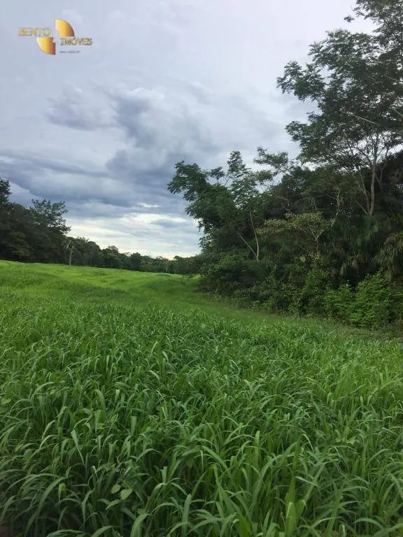 Fazenda à venda de 1.455 ha em Acorizal, MT, Brasil