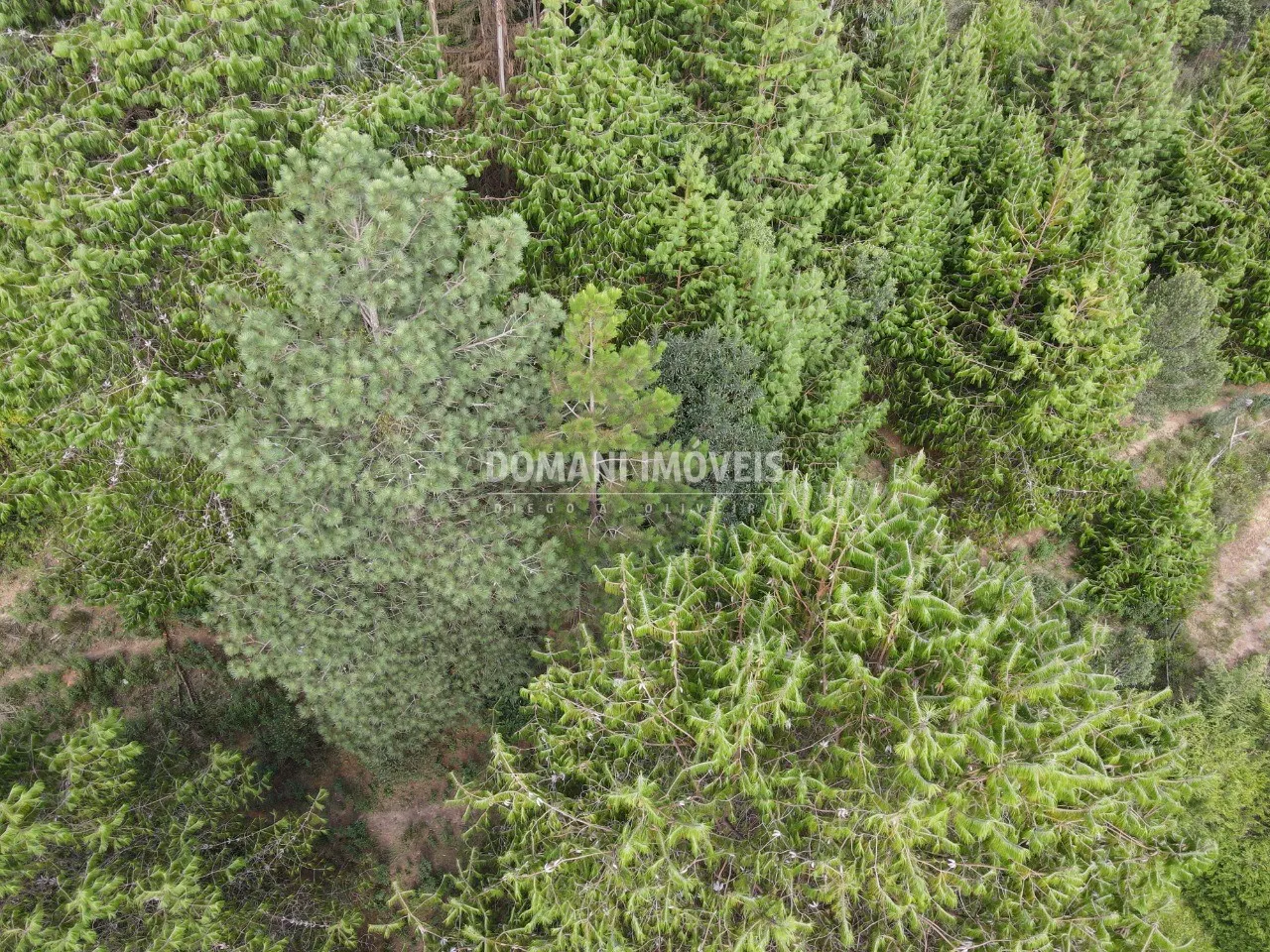 Plot for sale of 1,700 m² in Campos do Jordão, SP, Brazil