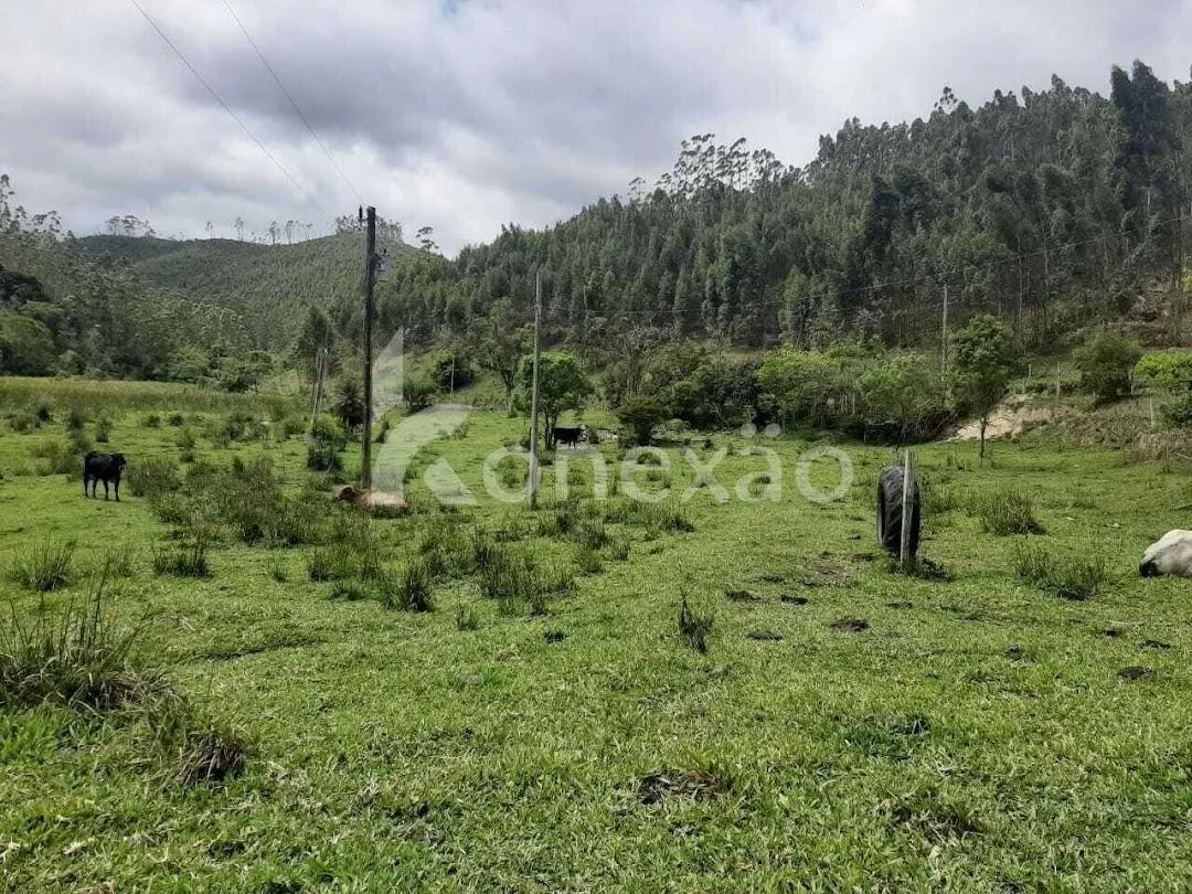 Fazenda à venda de 600 ha em Paraibuna, SP, Brasil