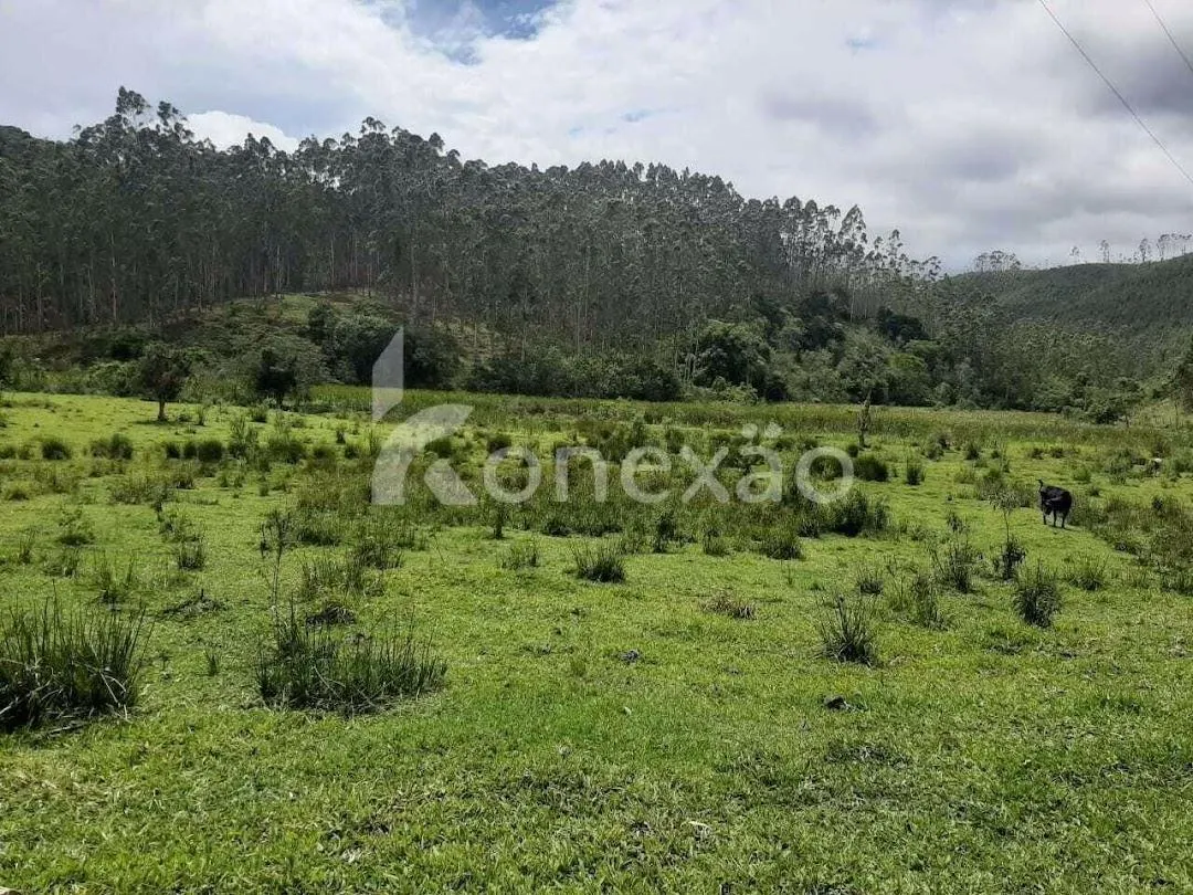 Fazenda à venda de 600 ha em Paraibuna, SP, Brasil