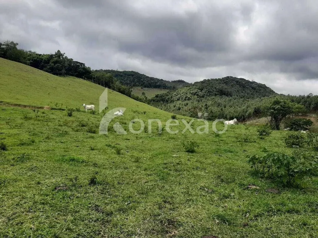 Fazenda à venda de 600 ha em Paraibuna, SP, Brasil