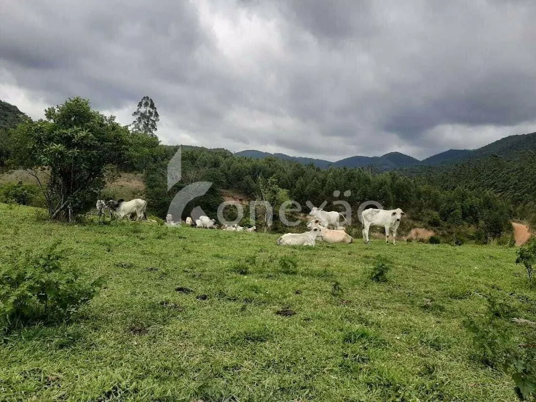Fazenda à venda de 600 ha em Paraibuna, SP, Brasil