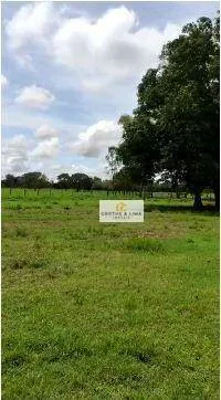 Farm for sale of 1,585 acres in Marianópolis do Tocantins, TO, Brazil