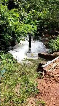 Farm for sale of 1,585 acres in Marianópolis do Tocantins, TO, Brazil