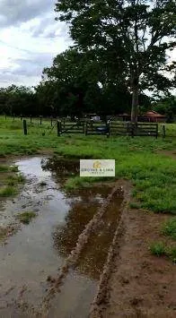 Farm for sale of 1,585 acres in Marianópolis do Tocantins, TO, Brazil