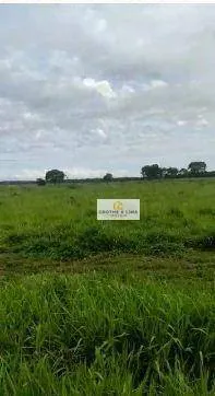Farm for sale of 1,585 acres in Marianópolis do Tocantins, TO, Brazil