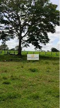 Farm for sale of 1,585 acres in Marianópolis do Tocantins, TO, Brazil