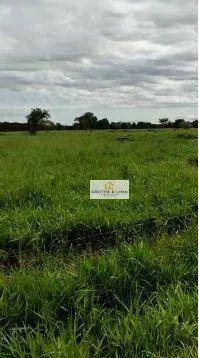 Farm for sale of 1,585 acres in Marianópolis do Tocantins, TO, Brazil