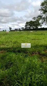 Farm for sale of 1,585 acres in Marianópolis do Tocantins, TO, Brazil