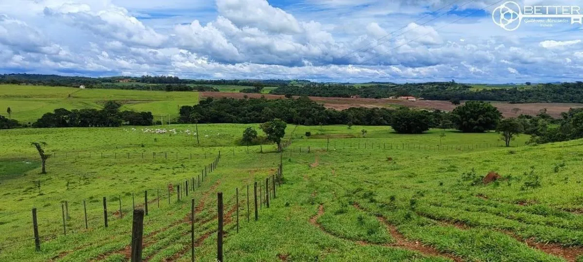 Sítio à venda de 29 ha em Itapetininga, SP, Brasil
