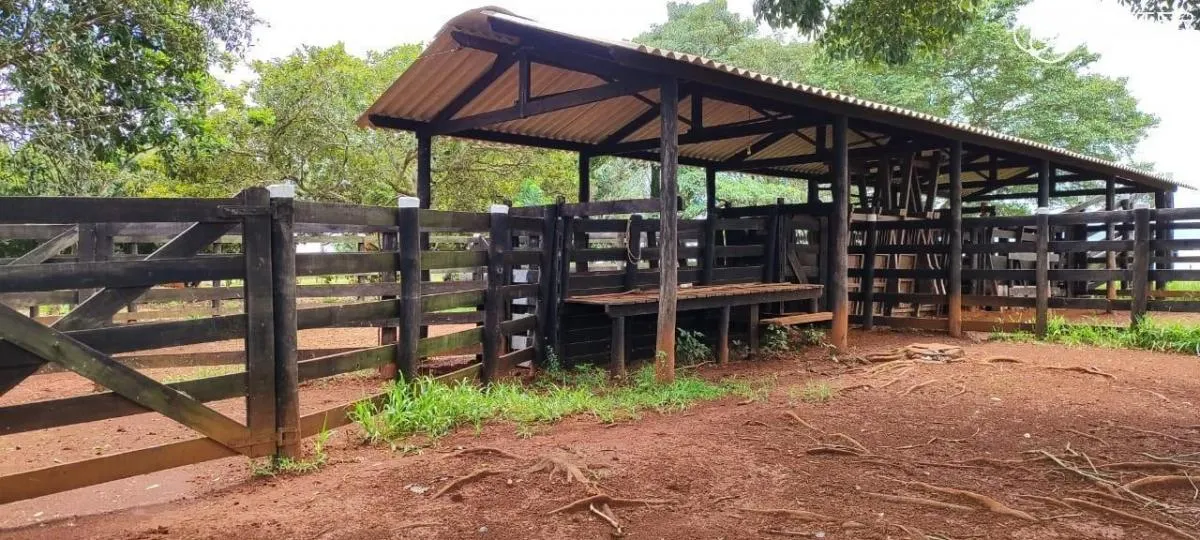 Sítio à venda de 29 ha em Itapetininga, SP, Brasil