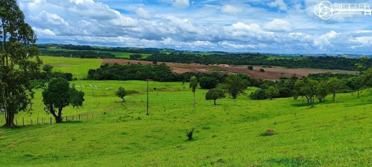 Sítio à venda de 29 ha em Itapetininga, SP, Brasil