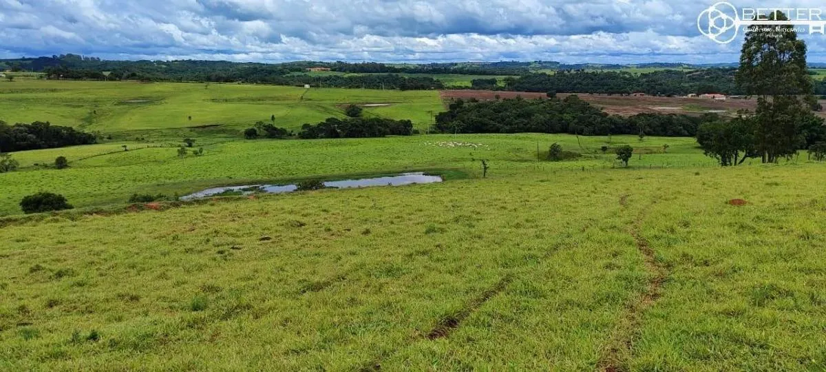 Sítio à venda de 29 ha em Itapetininga, SP, Brasil