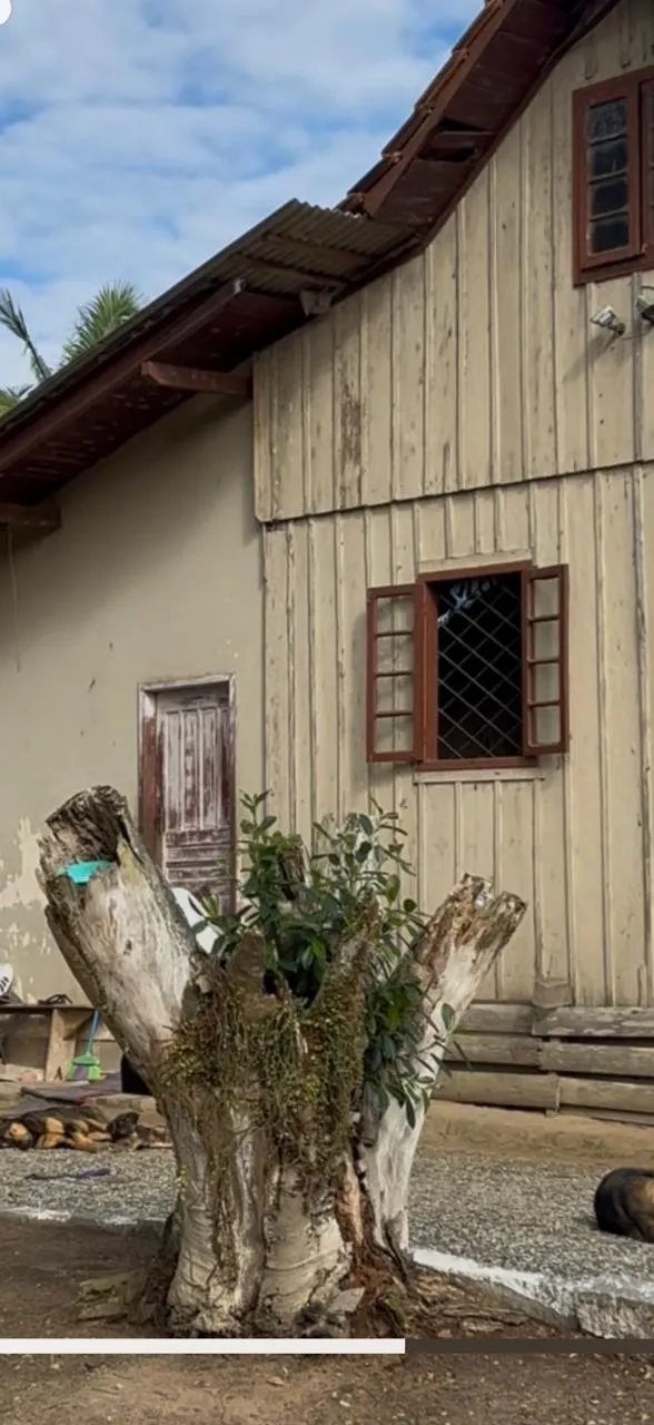 Fazenda à venda e para Arrendar de 62 ha em São João do Itaperiú, SC, Brasil