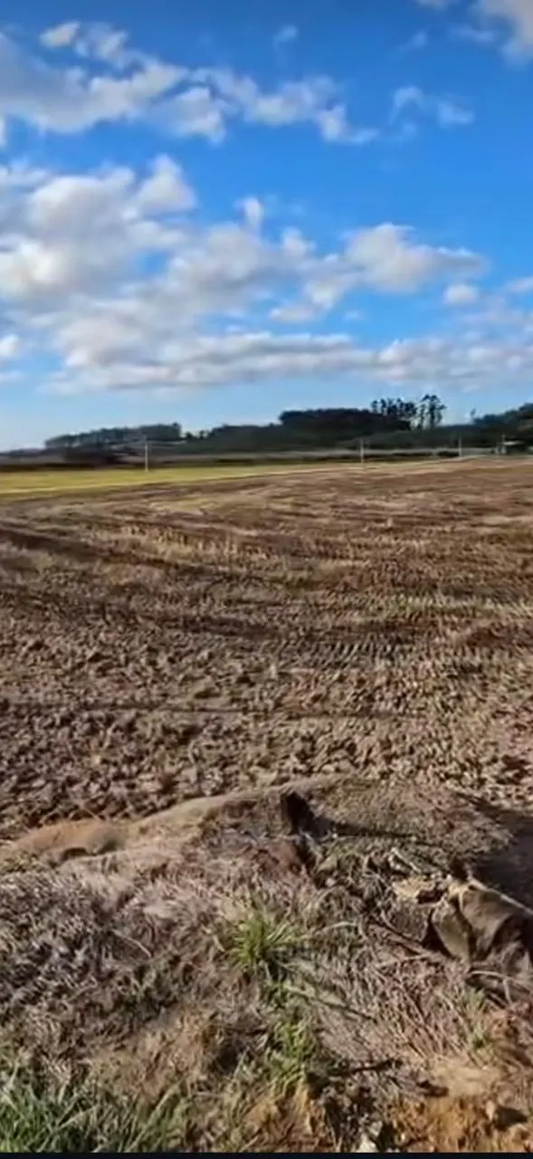 Fazenda à venda e para Arrendar de 62 ha em São João do Itaperiú, SC, Brasil