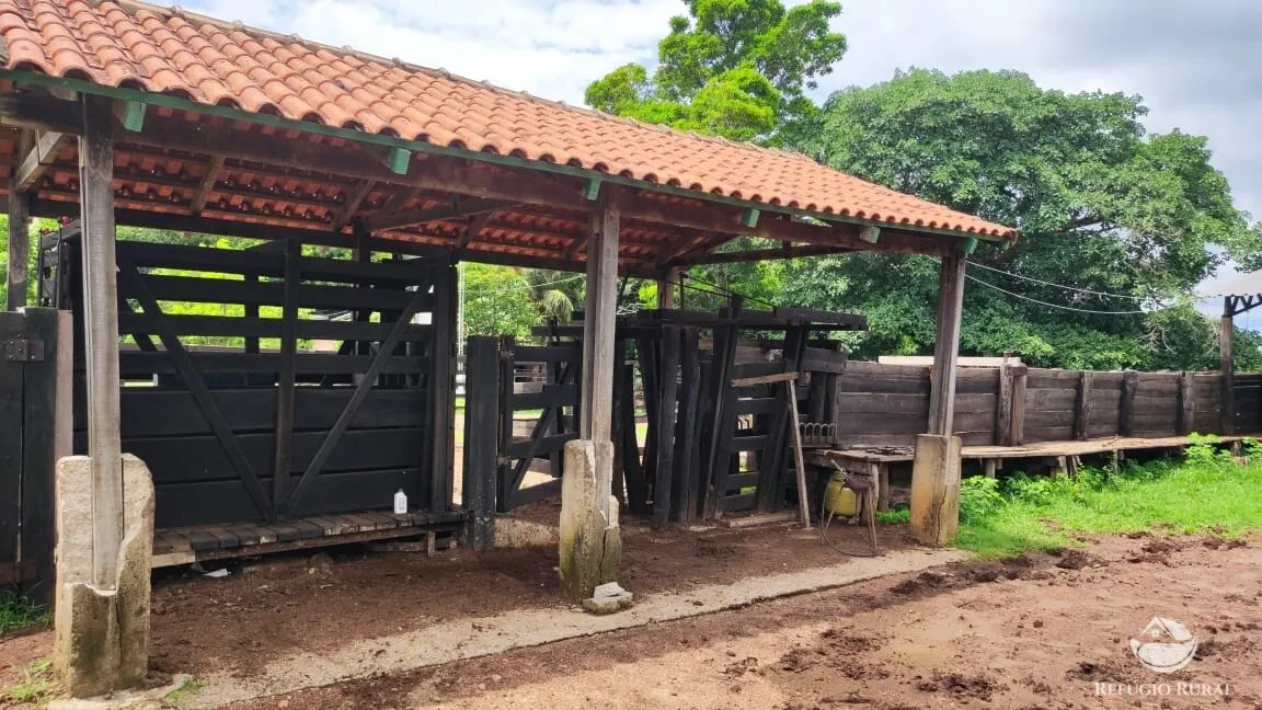 Fazenda à venda de 788 ha em Figueirópolis, TO, Brasil