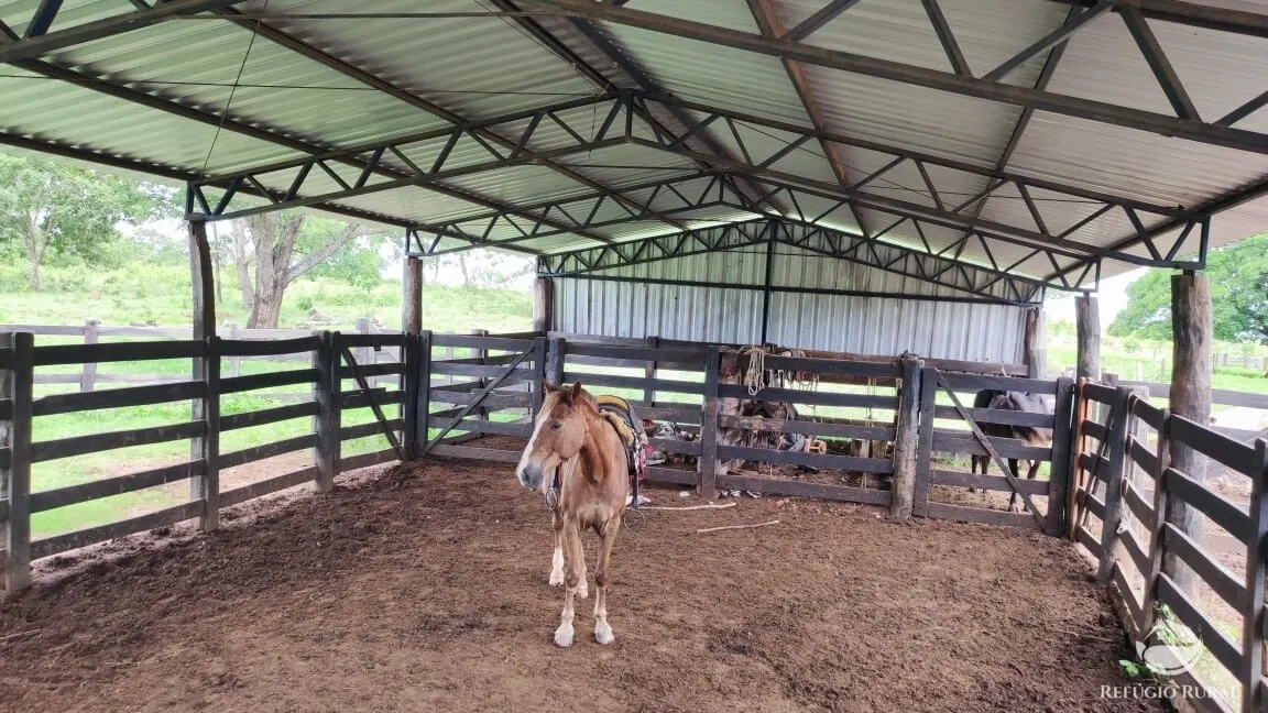 Fazenda à venda de 788 ha em Figueirópolis, TO, Brasil