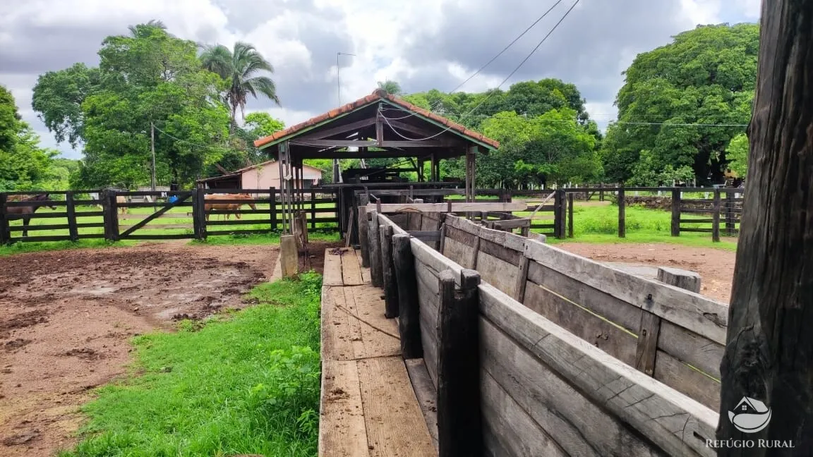 Fazenda à venda de 788 ha em Figueirópolis, TO, Brasil