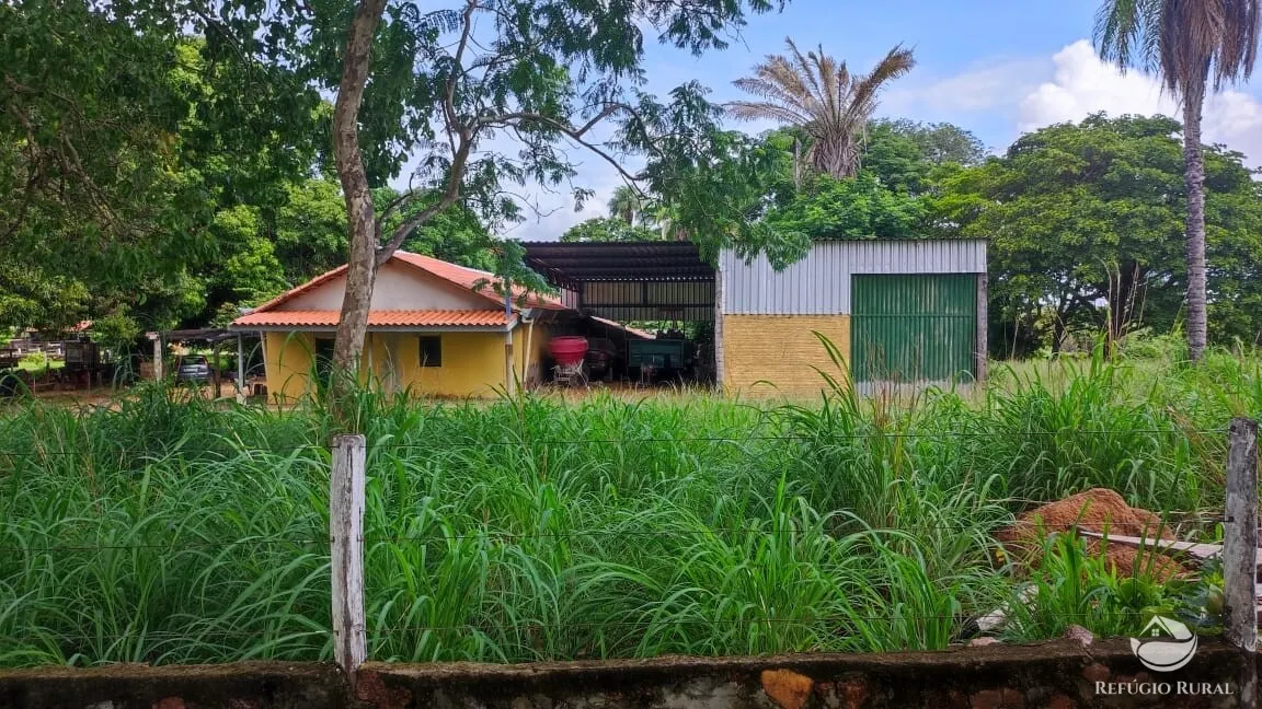 Fazenda à venda de 788 ha em Figueirópolis, TO, Brasil