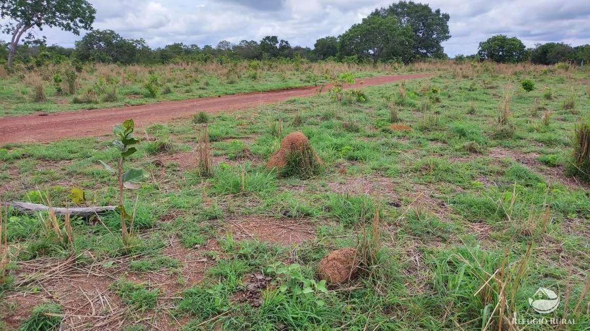 Fazenda à venda de 788 ha em Figueirópolis, TO, Brasil