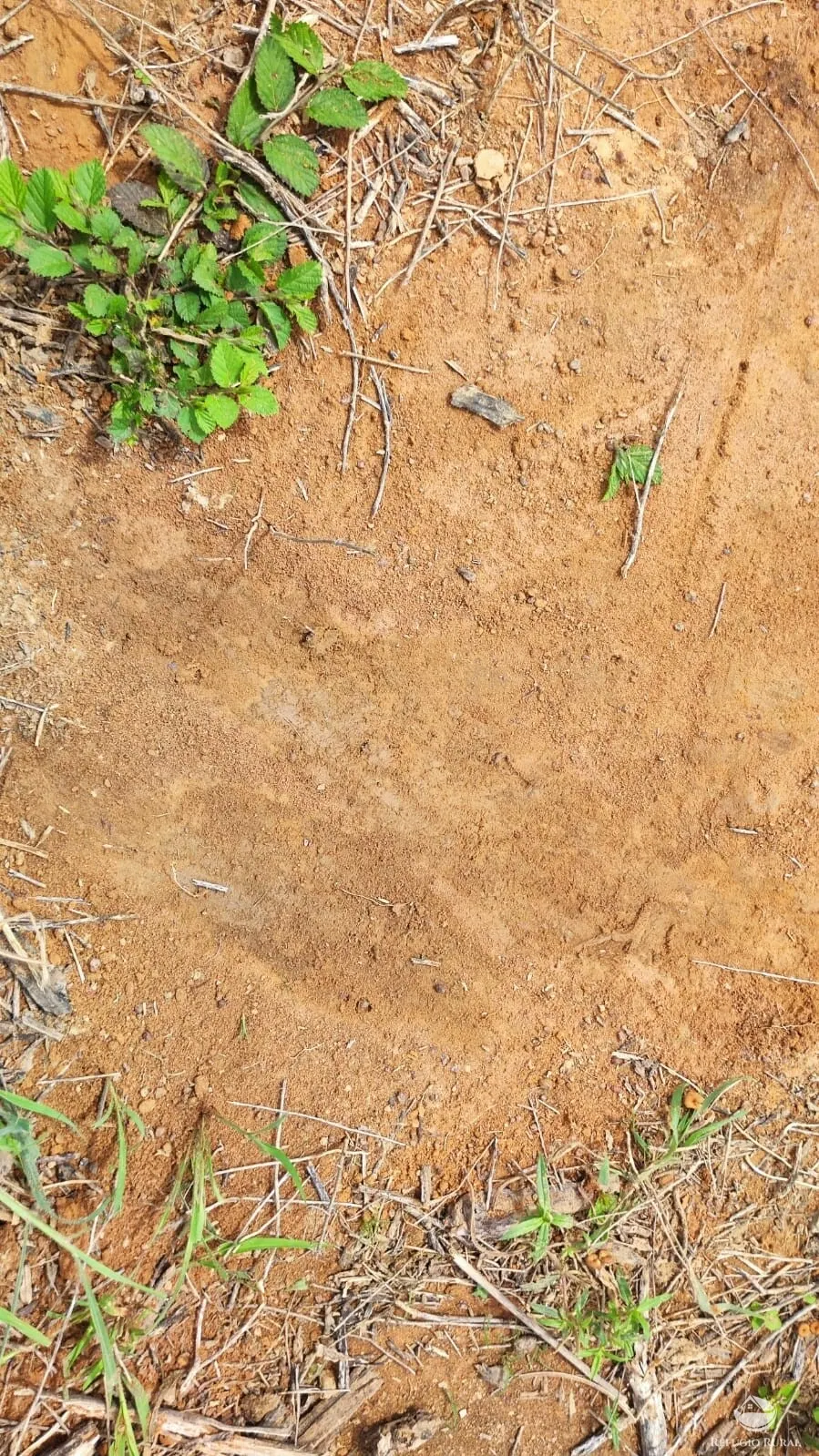 Fazenda à venda de 788 ha em Figueirópolis, TO, Brasil