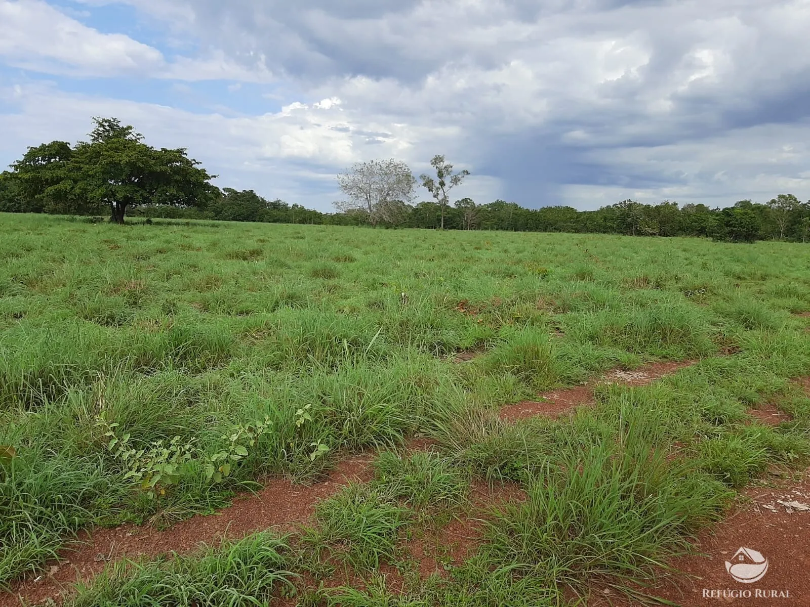 Fazenda à venda de 788 ha em Figueirópolis, TO, Brasil