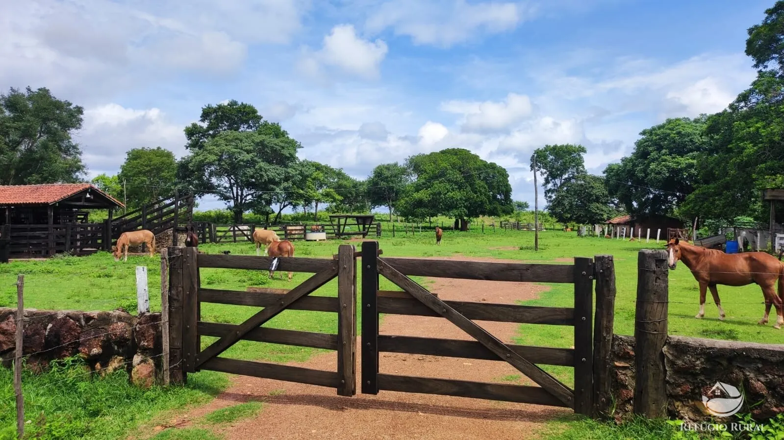 Fazenda à venda de 788 ha em Figueirópolis, TO, Brasil