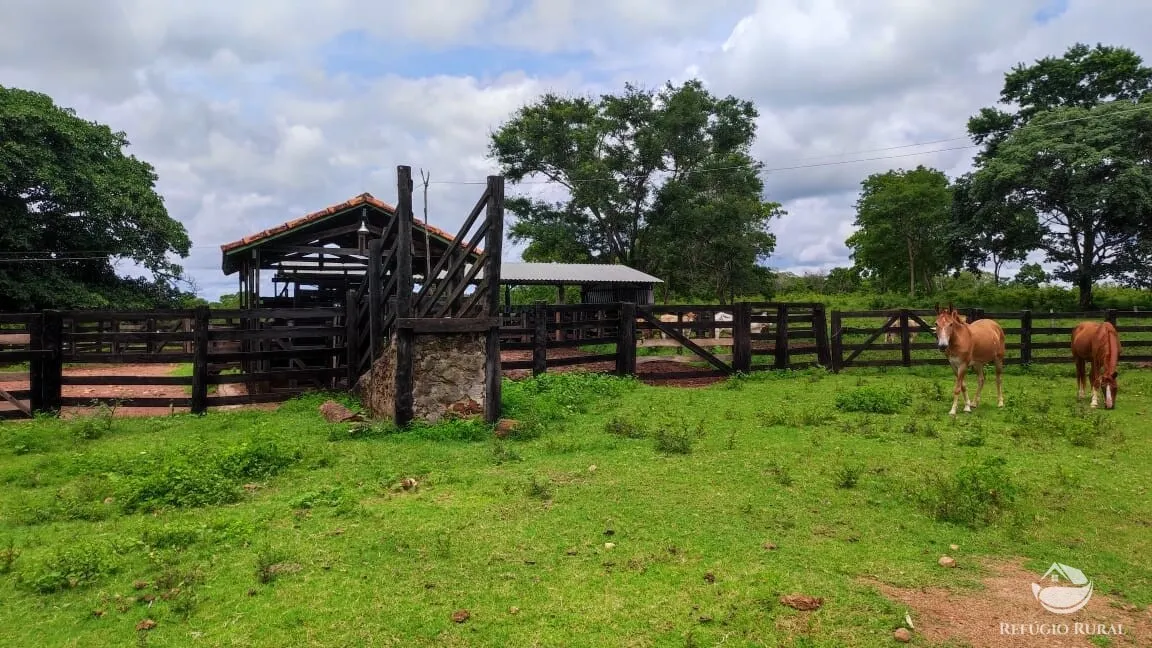Fazenda à venda de 788 ha em Figueirópolis, TO, Brasil