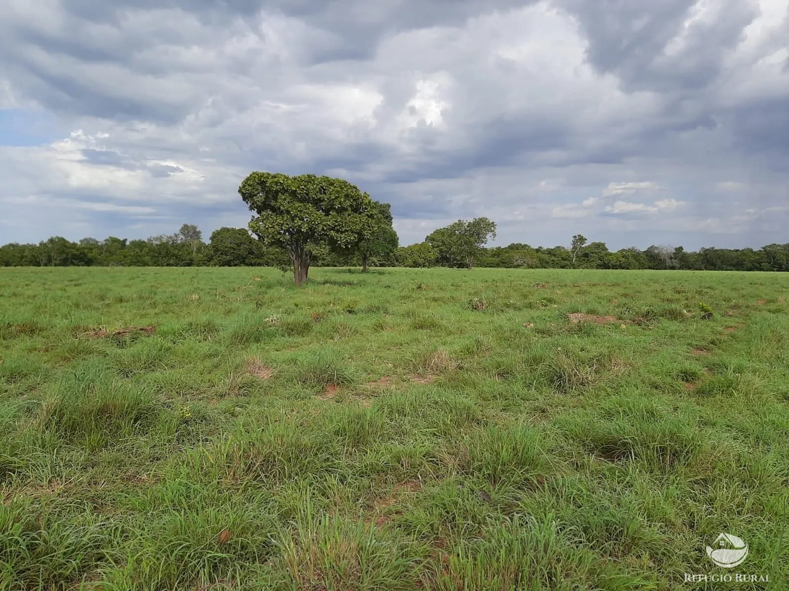 Fazenda à venda de 788 ha em Figueirópolis, TO, Brasil