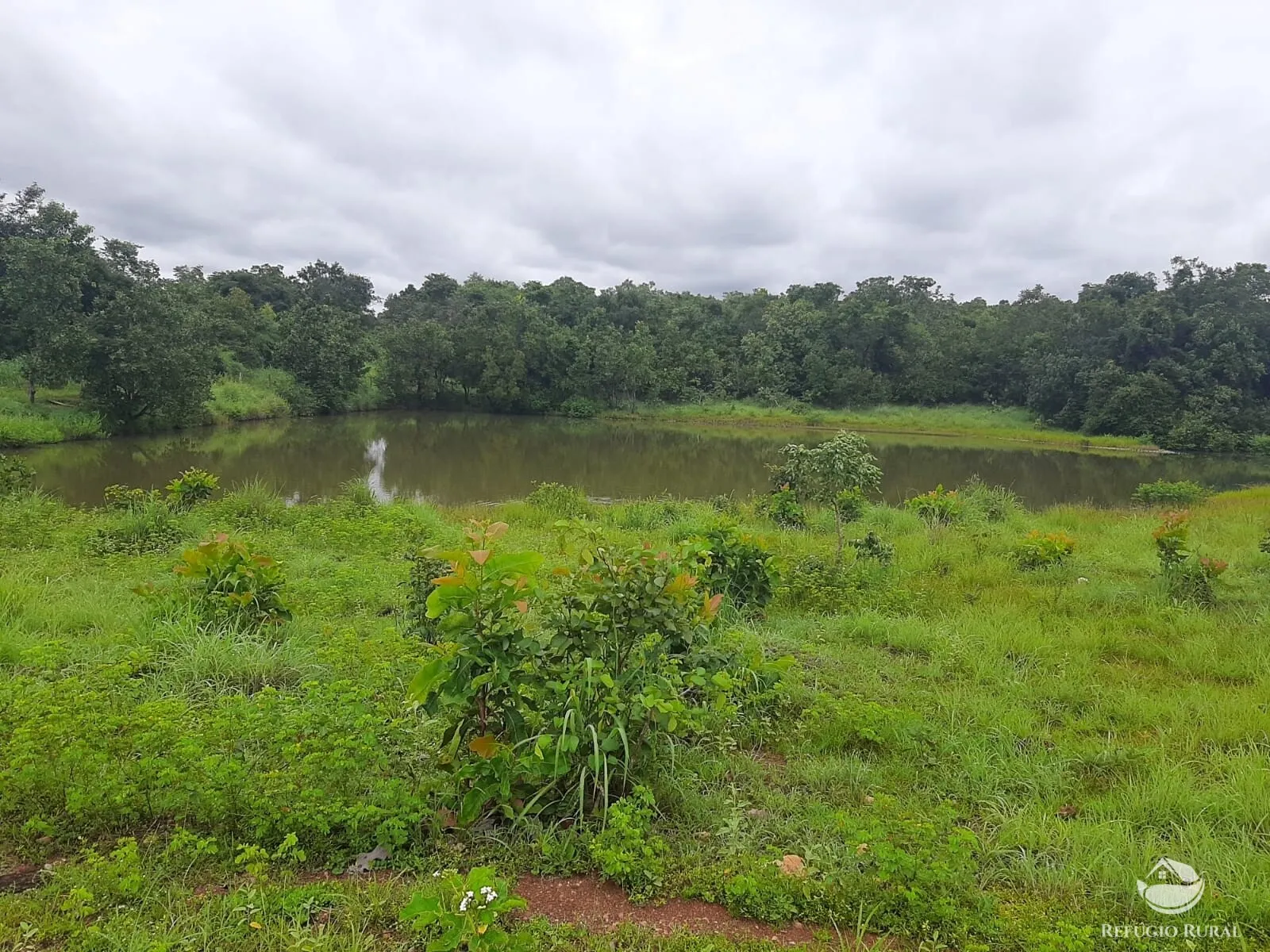 Fazenda à venda de 788 ha em Figueirópolis, TO, Brasil