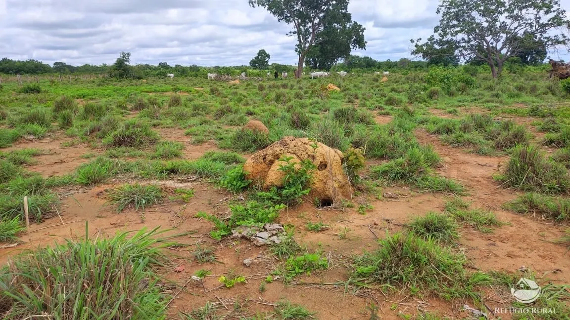 Fazenda à venda de 788 ha em Figueirópolis, TO, Brasil