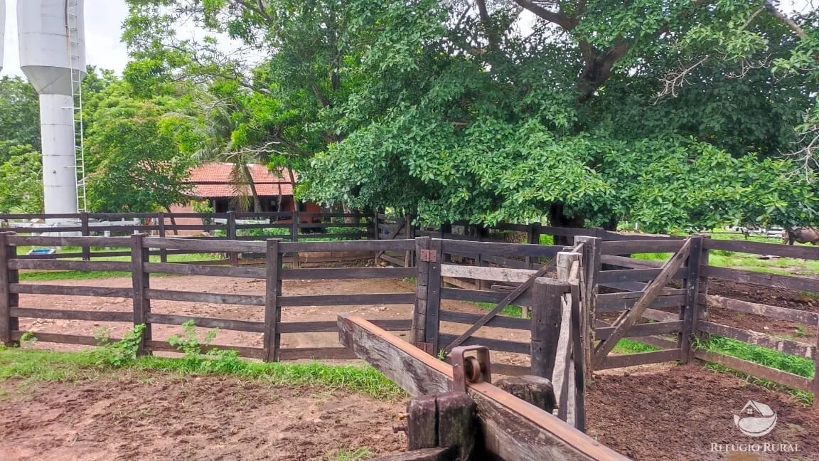 Fazenda à venda de 788 ha em Figueirópolis, TO, Brasil