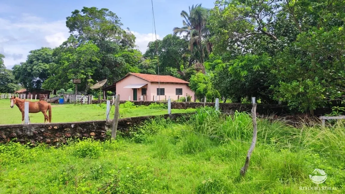 Fazenda à venda de 788 ha em Figueirópolis, TO, Brasil