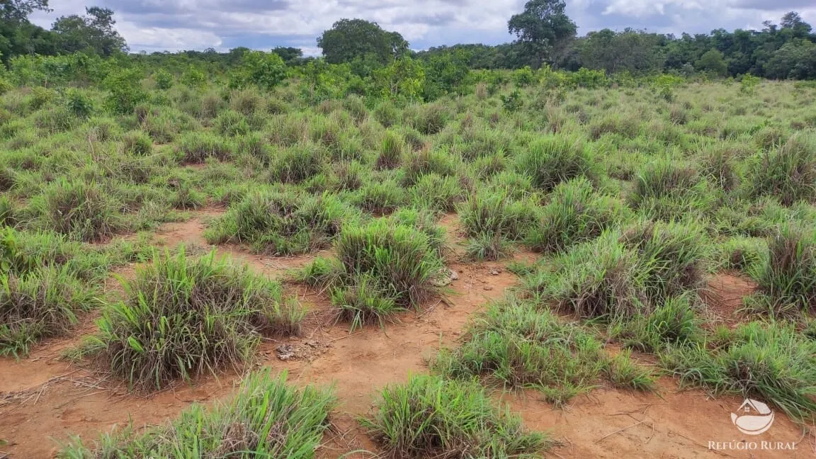 Fazenda à venda de 788 ha em Figueirópolis, TO, Brasil