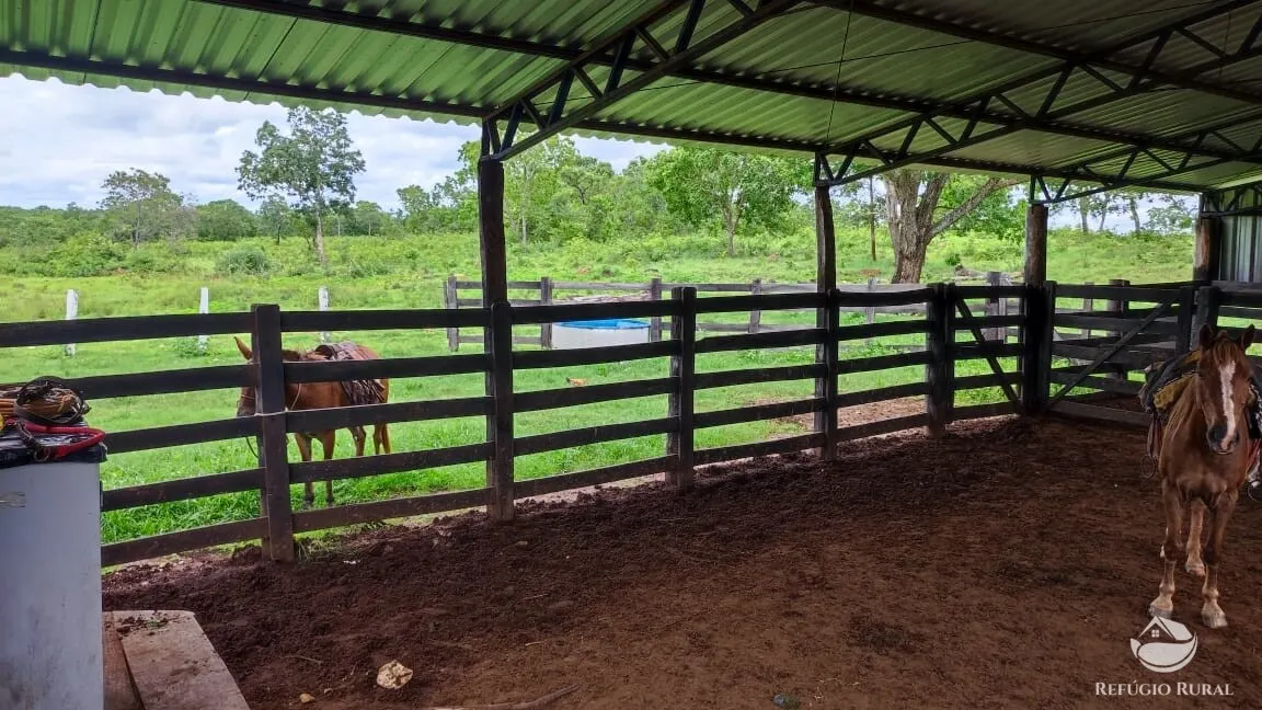 Fazenda à venda de 788 ha em Figueirópolis, TO, Brasil