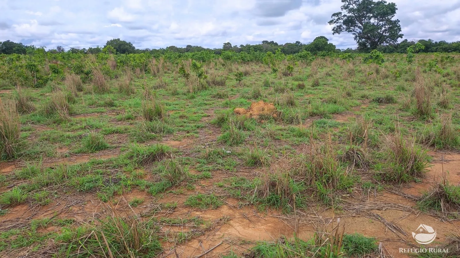 Fazenda à venda de 788 ha em Figueirópolis, TO, Brasil