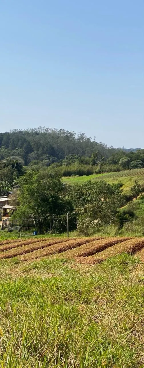 Sítio à venda de 18 ha em Suzano, SP, Brasil