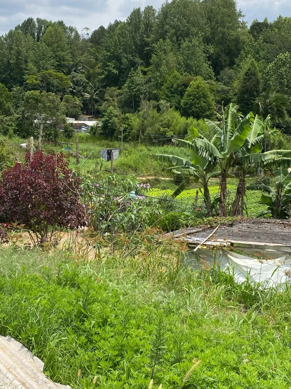 Sítio à venda de 18 ha em Suzano, SP, Brasil