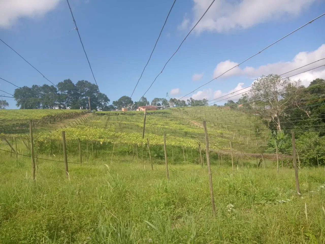 Chácara à venda de 4 ha em São Miguel Arcanjo, SP, Brasil