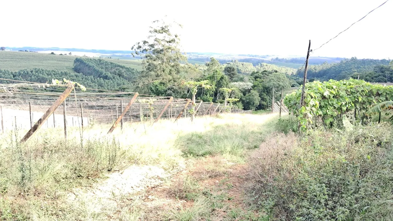 Chácara à venda de 4 ha em São Miguel Arcanjo, SP, Brasil