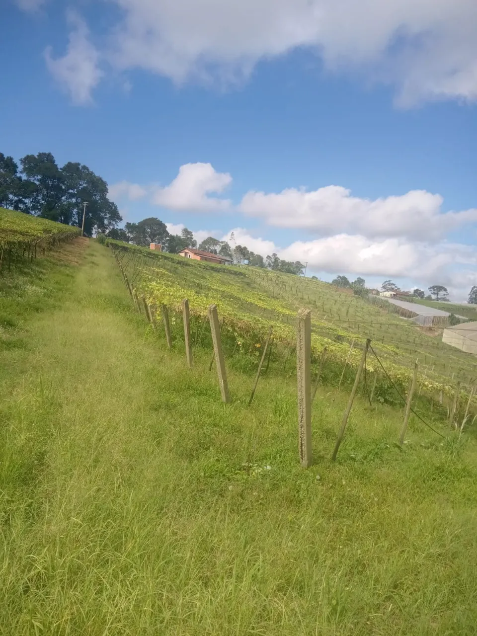 Chácara à venda de 4 ha em São Miguel Arcanjo, SP, Brasil