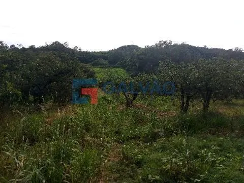 Sítio à venda de 10 ha em Itatiba, SP, Brasil
