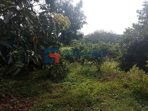 Sítio à venda de 10 ha em Itatiba, SP, Brasil